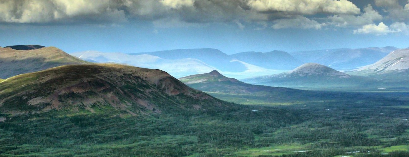 Управление охраной окружающей среды