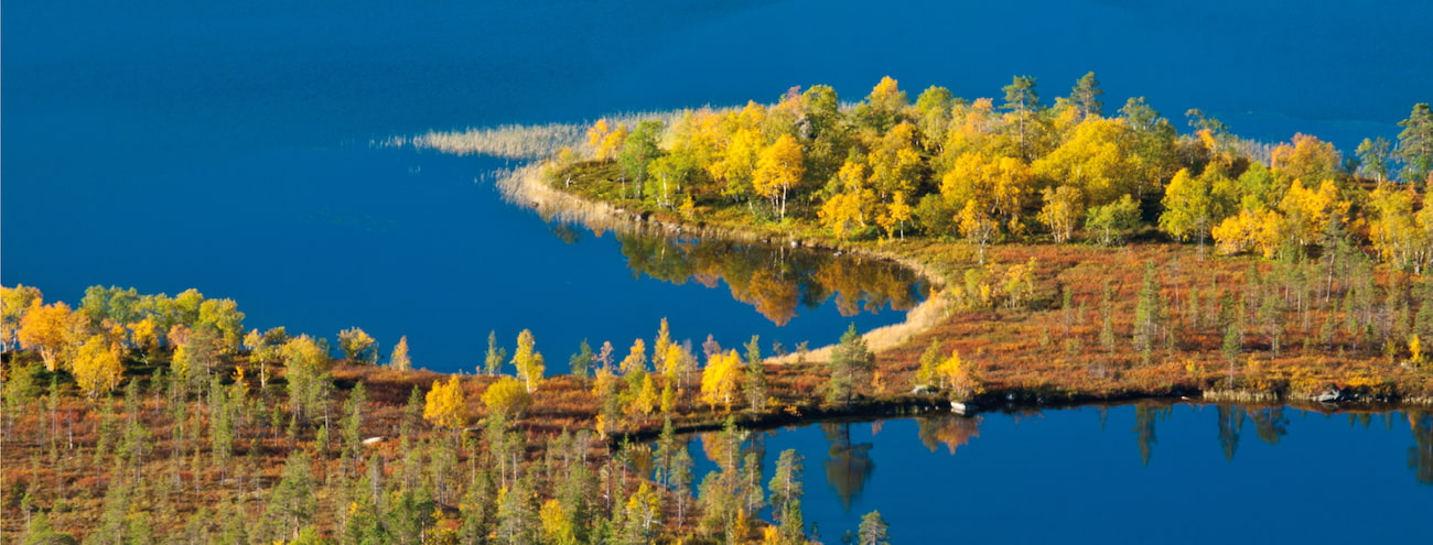 Сотрудничество с особо охраняемыми природными территориями