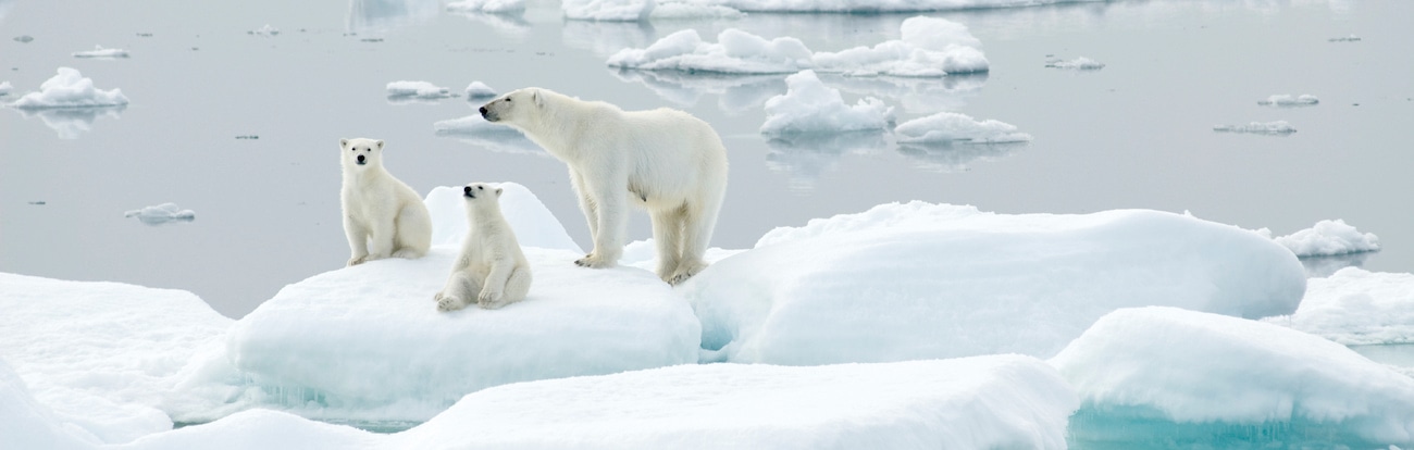 Сотрудничество с особо охраняемыми природными территориями