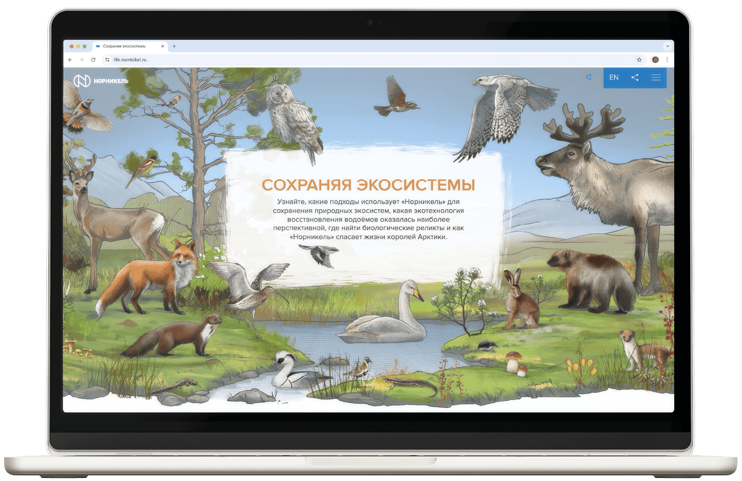 Сохранение биоразнообразия