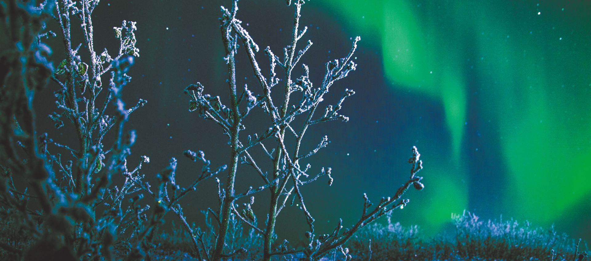 ESG-оценки «Норникеля»